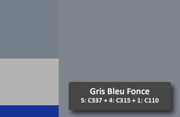 GrisBleuFonce