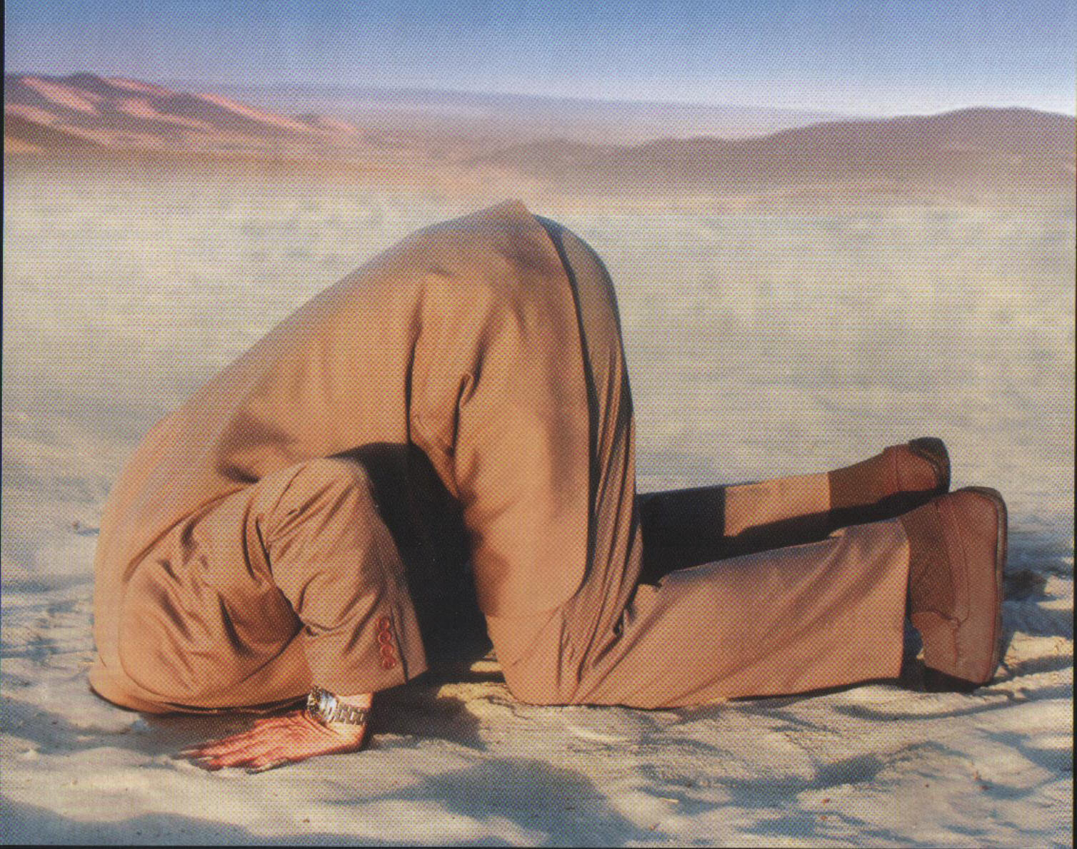 head-in-sand